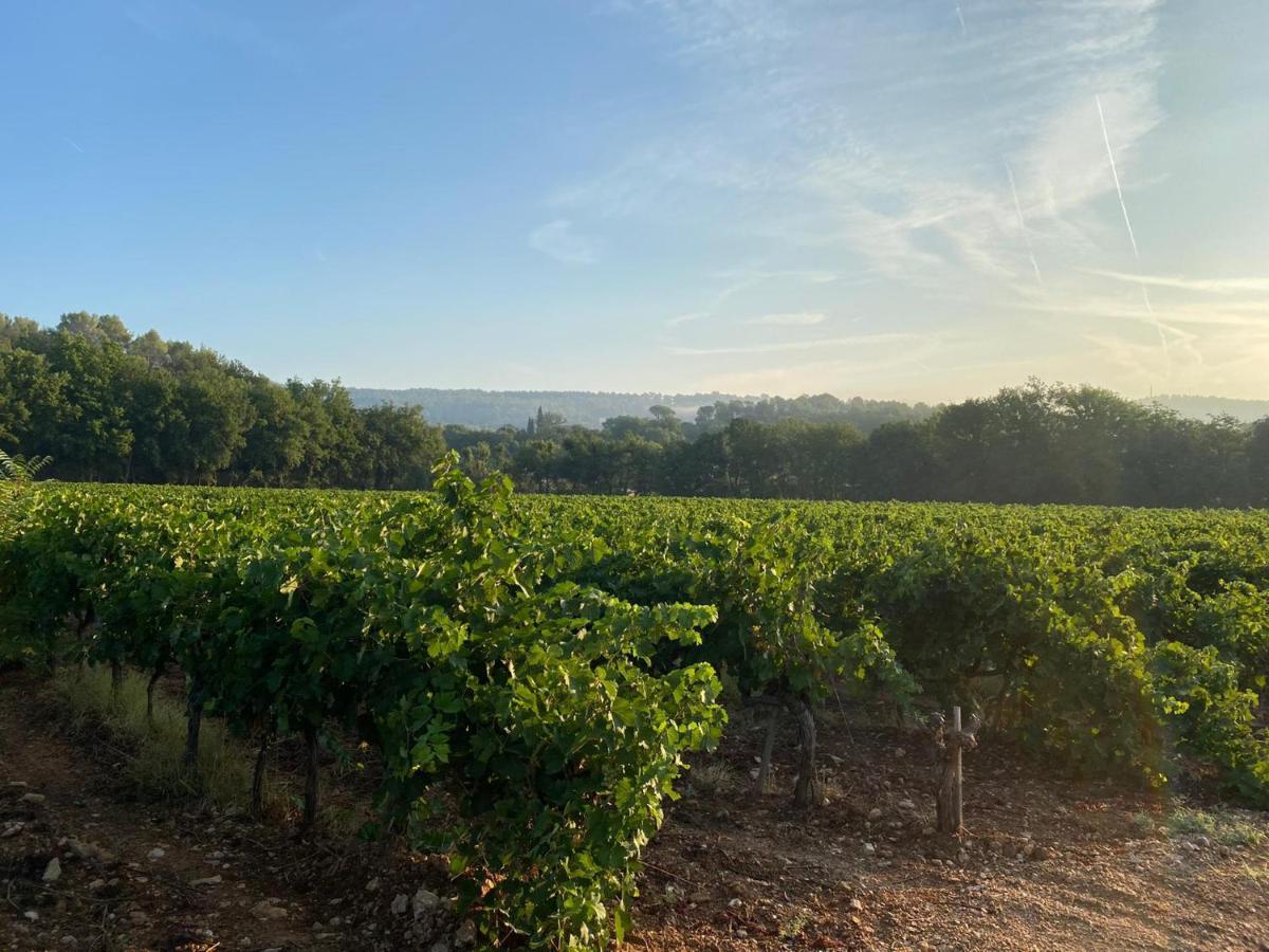 L'Eveil En Provence Bed & Breakfast Entrecasteaux Luaran gambar