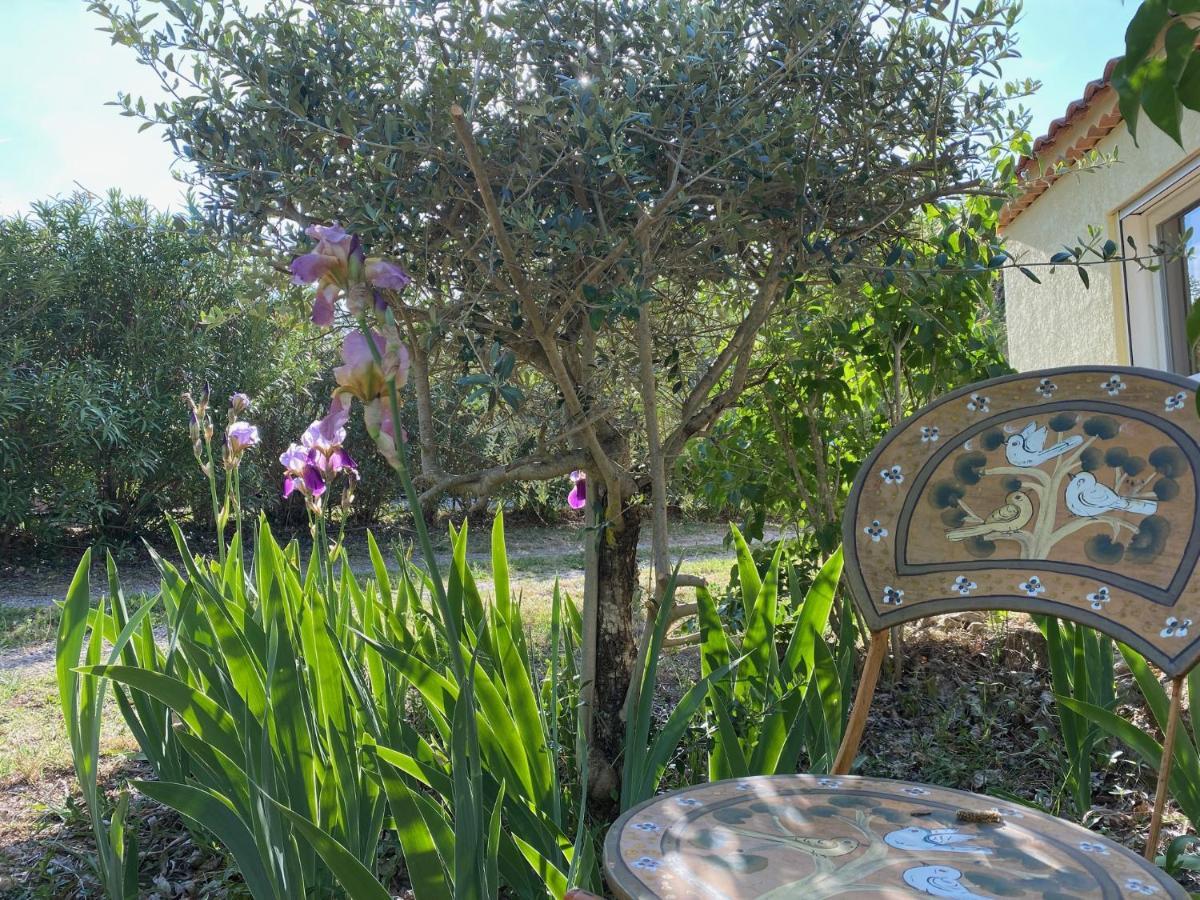 L'Eveil En Provence Bed & Breakfast Entrecasteaux Luaran gambar